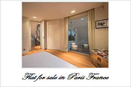 Flat for sale in paris france 1